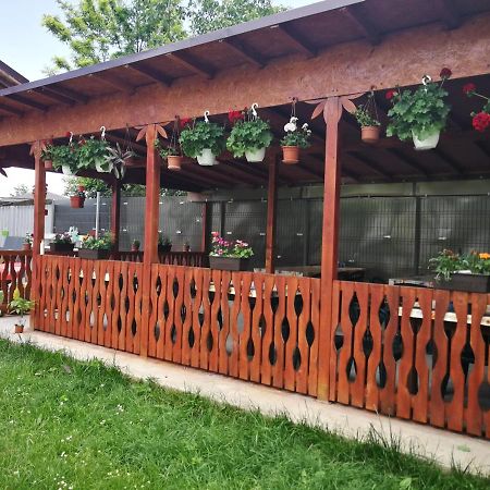 Vila Baciu 호텔 투즐라 외부 사진